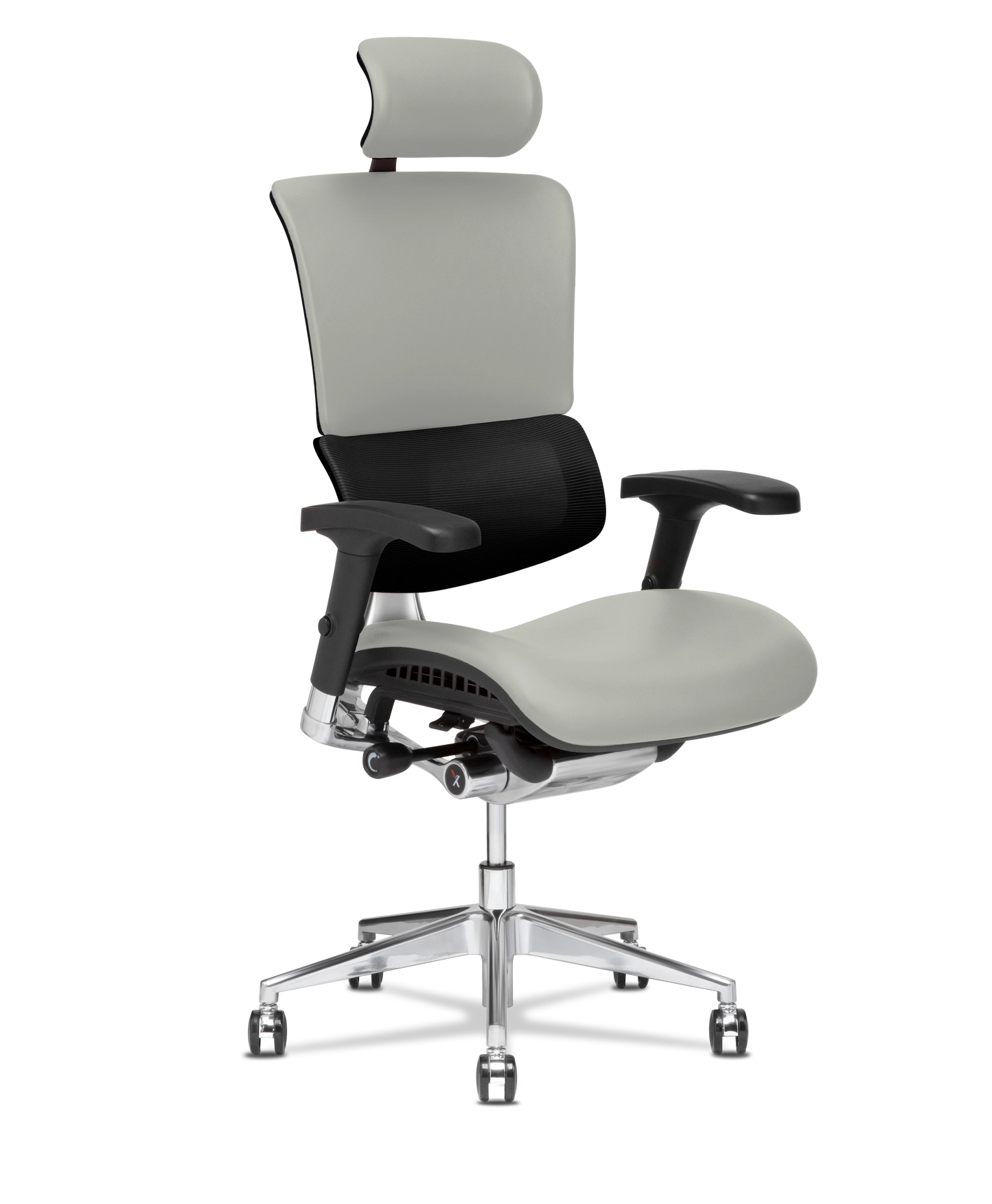 X-Tech Executive