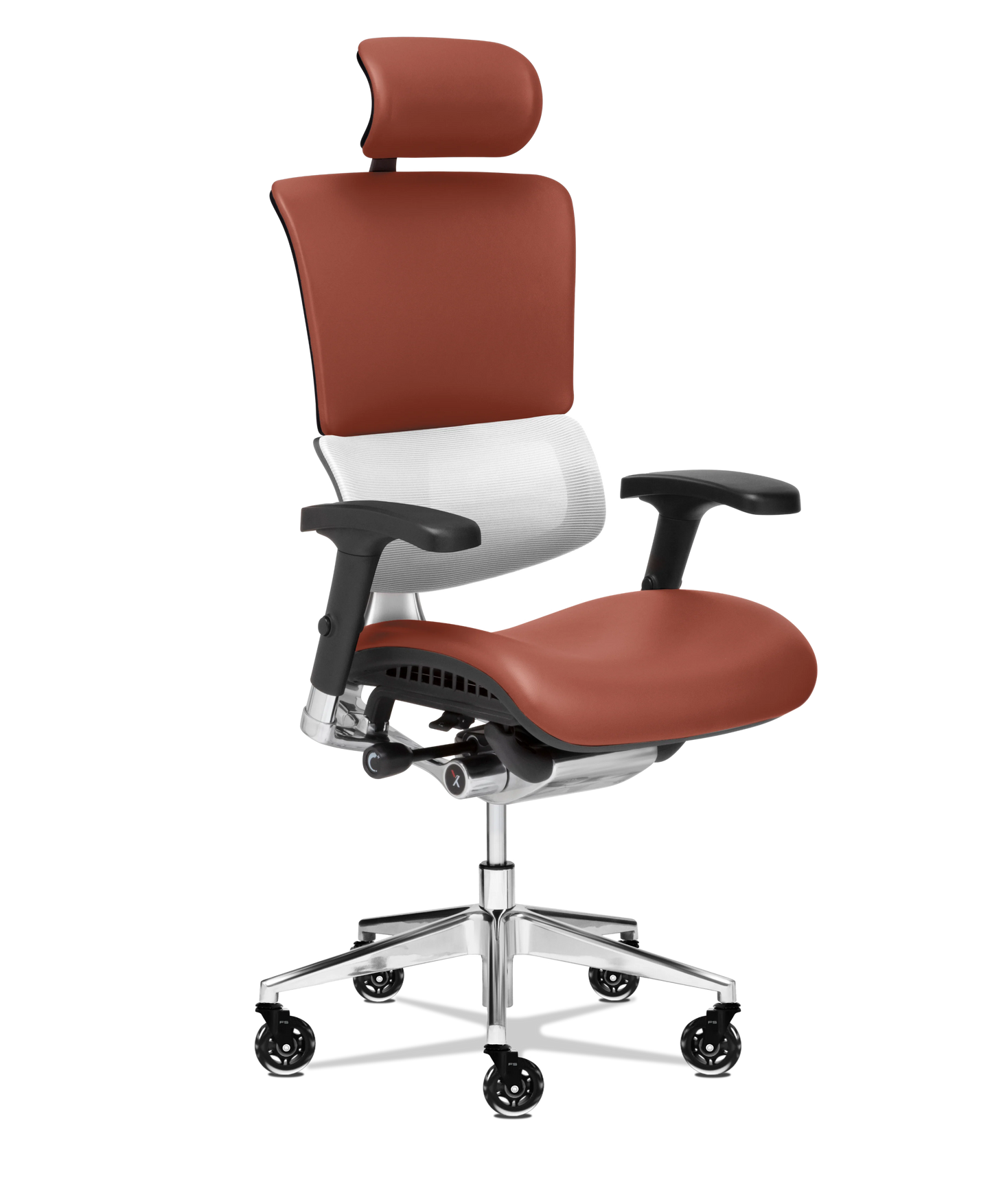 X-Tech Executive