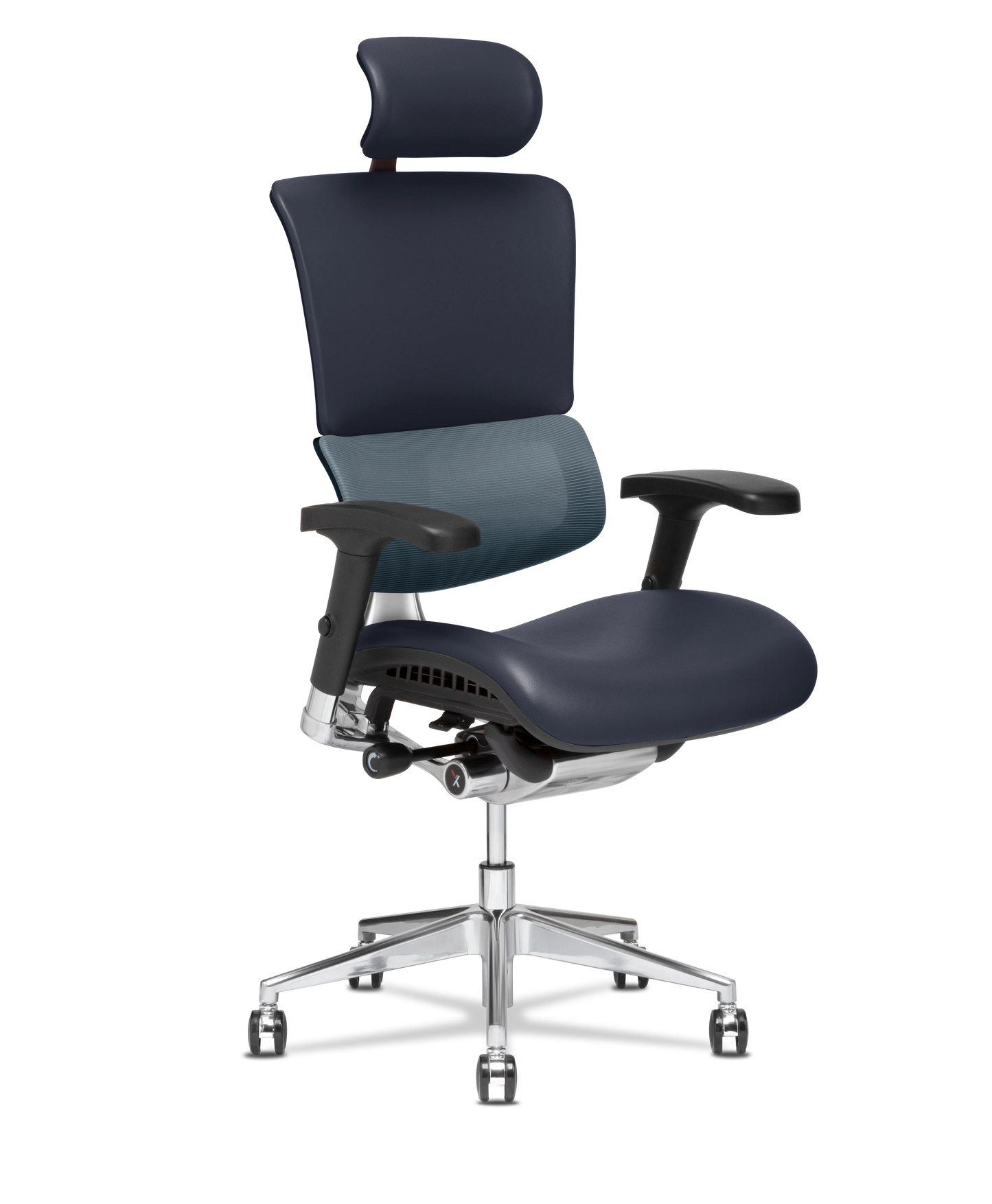 X-Tech Executive
