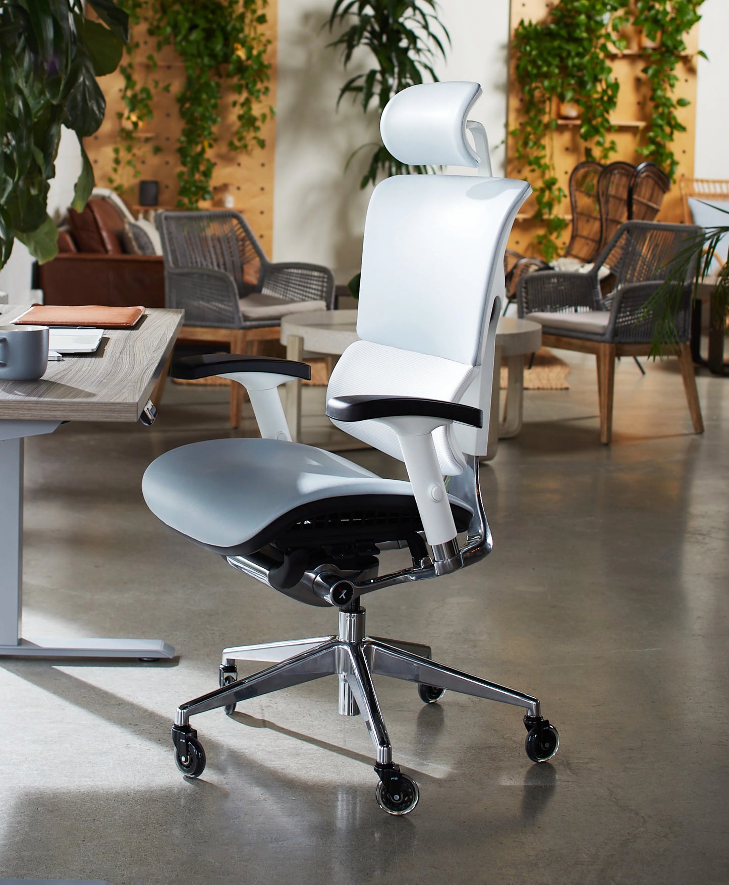X-Tech Executive