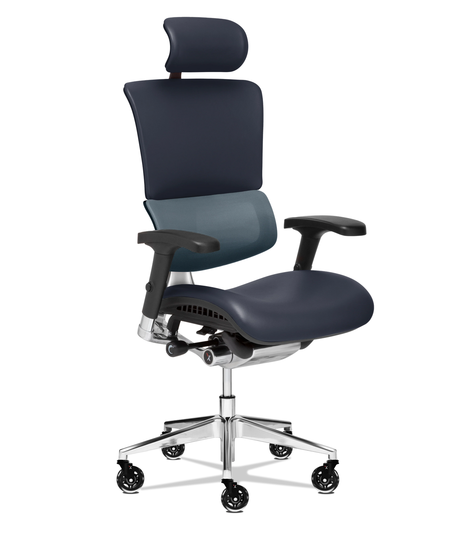 X-Tech Executive