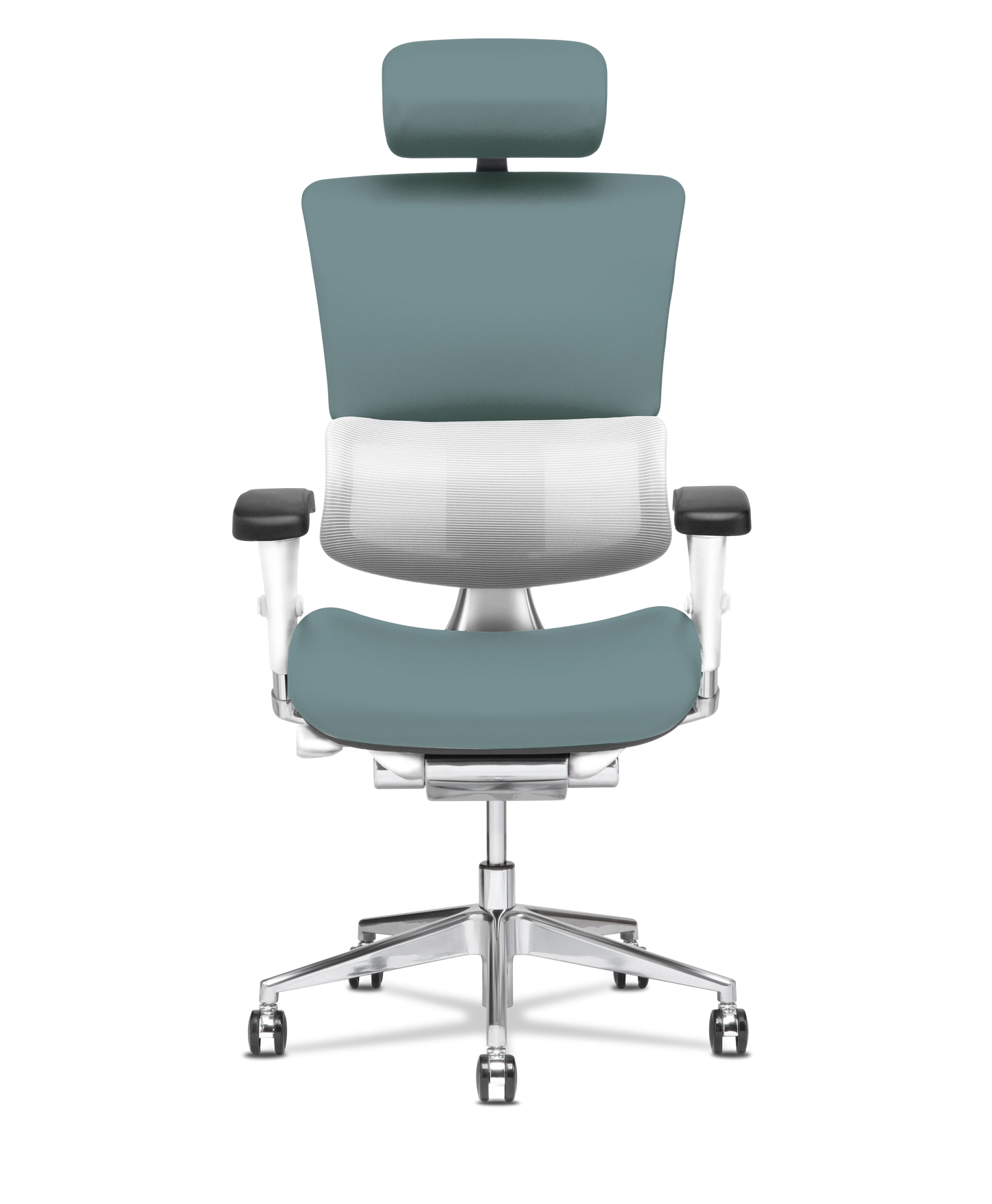 X-Tech Executive