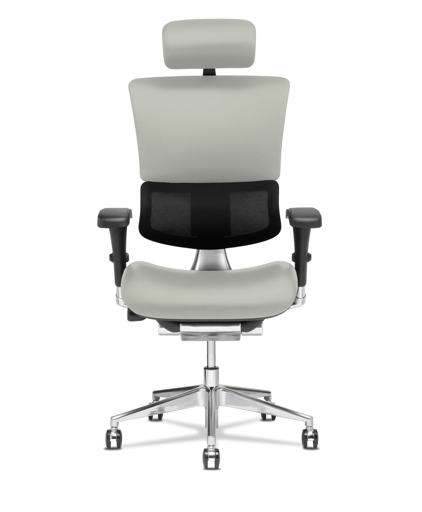 X-Tech Executive