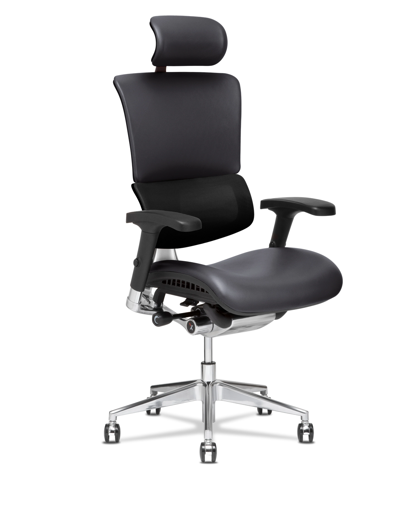 X-Tech Executive