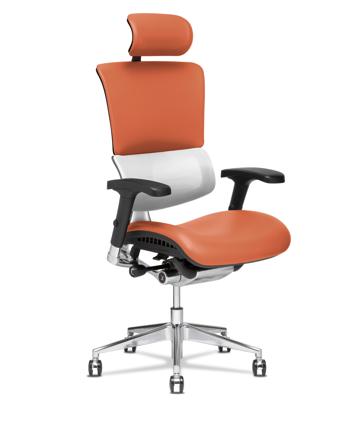 X-Tech Executive