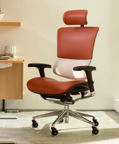 X-Tech Executive