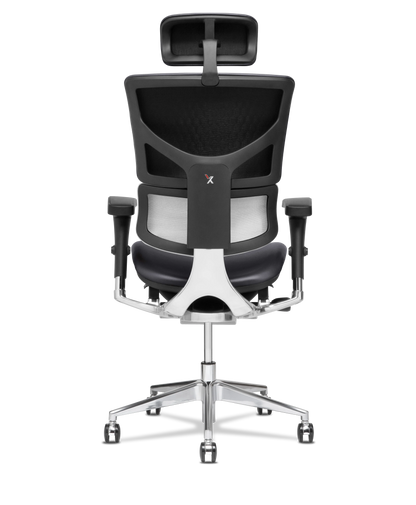 X-Tech Executive