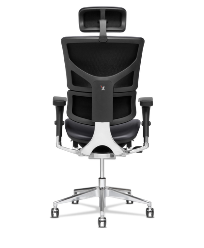 X-Tech Executive