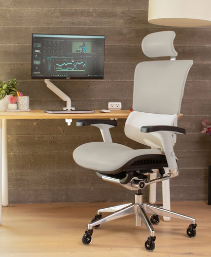X-Tech Executive