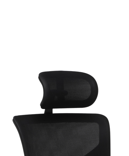 X3 Headrest