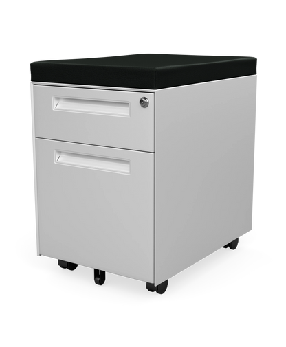File Cabinet with Cushion Top