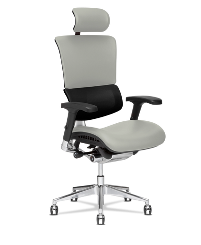 X-Tech Executive