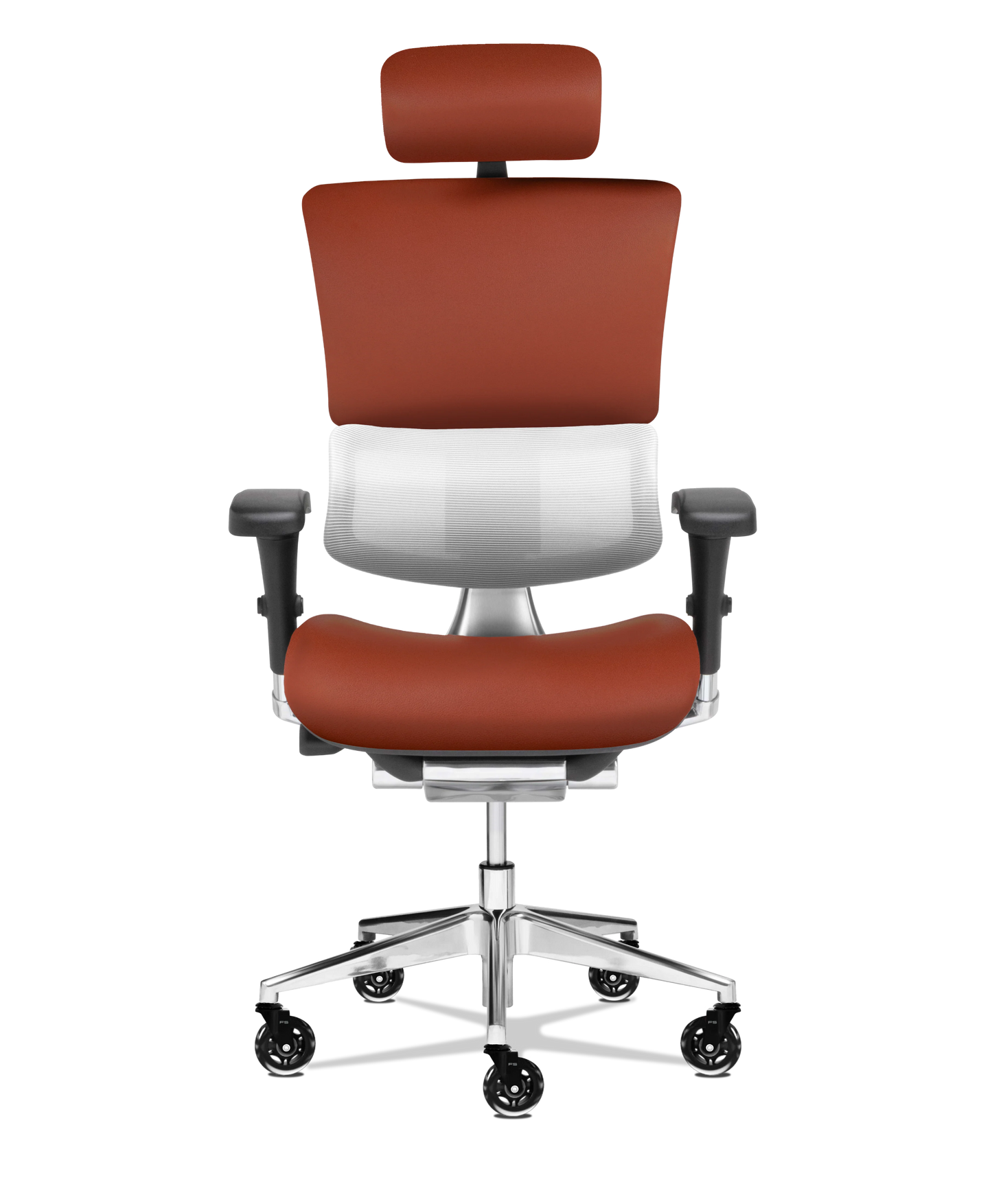 X-Tech Executive