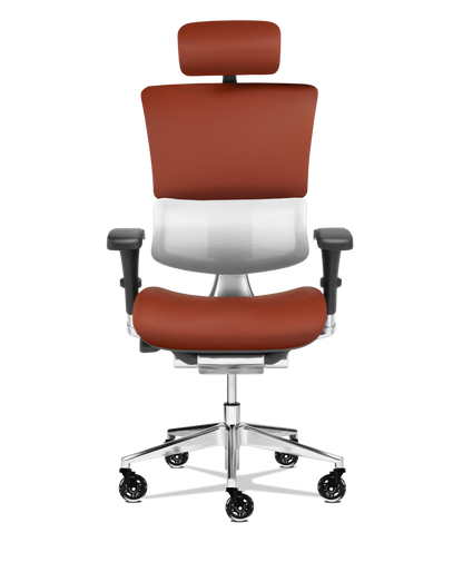 X-Tech Executive