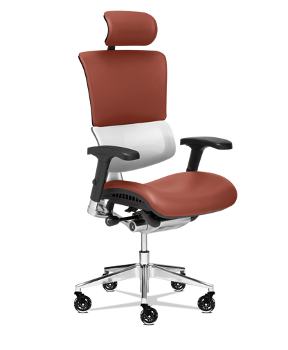 X-Tech Executive