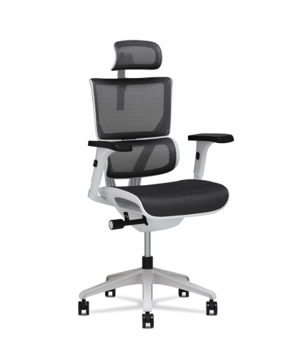 X-Vision Small Task