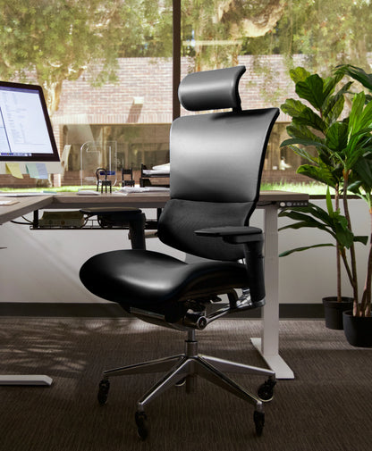 X-Tech Executive