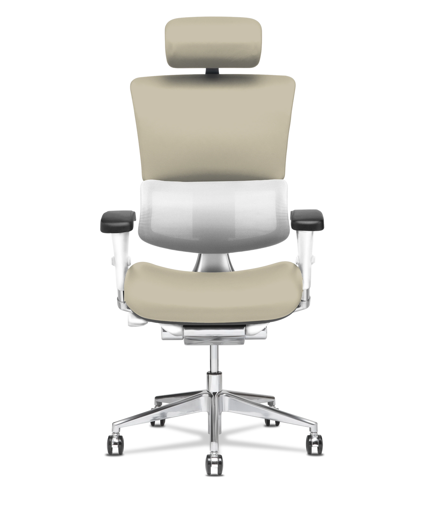 X-Tech Executive