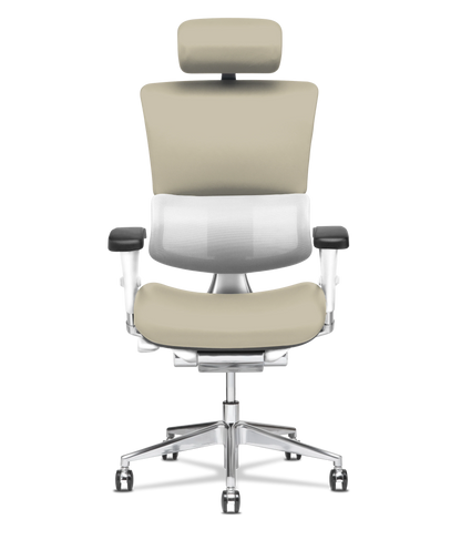 X-Tech Executive