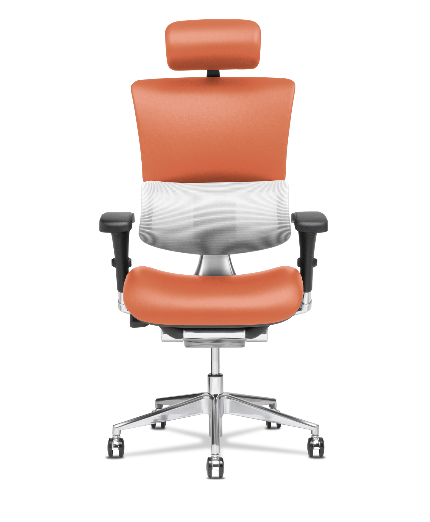 X-Tech Executive