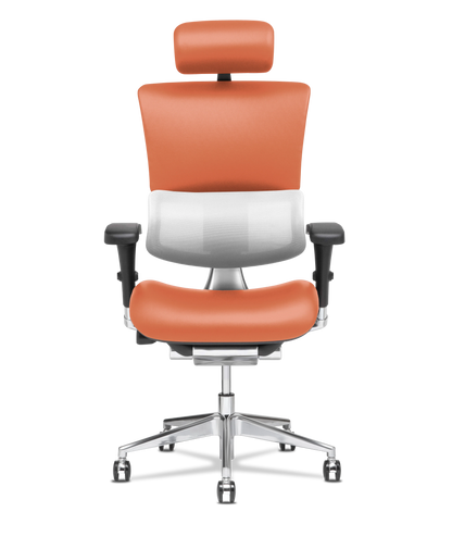 X-Tech Executive