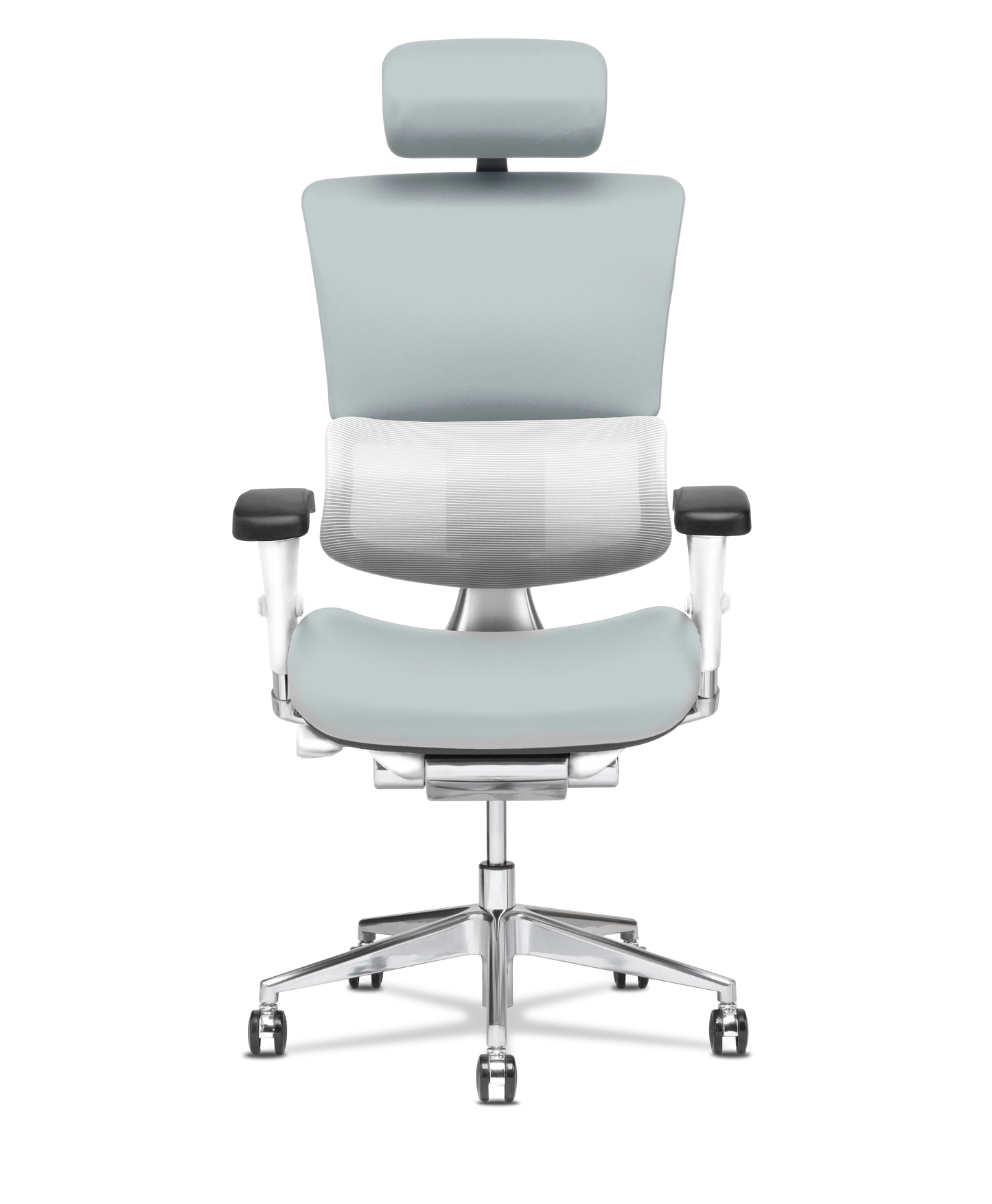 X-Tech Executive