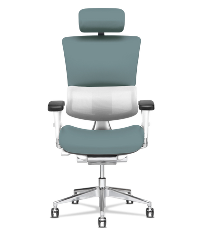 X-Tech Executive