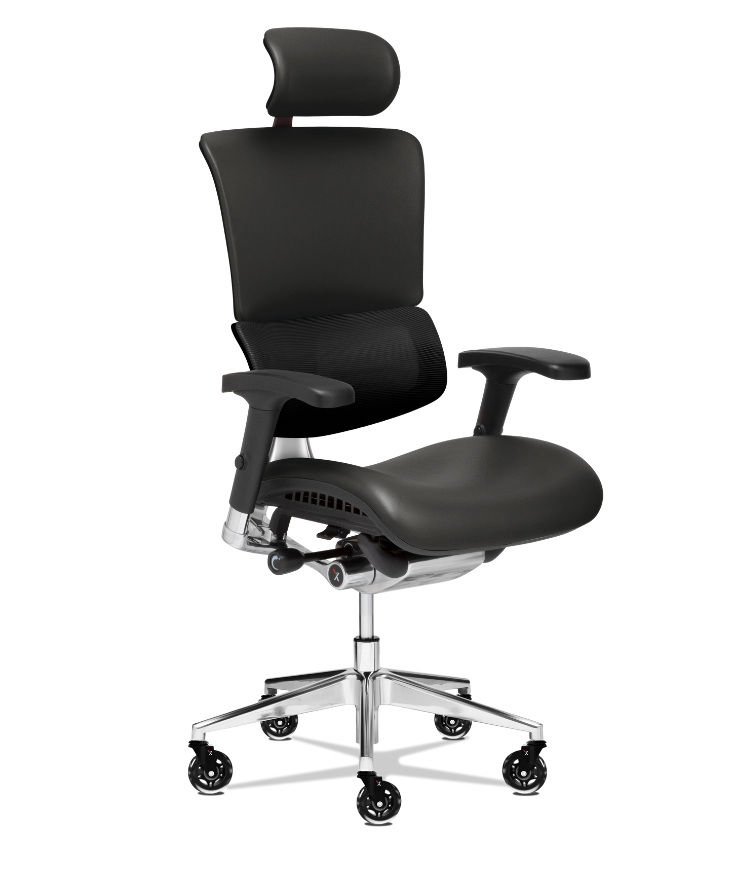 X-Tech Executive