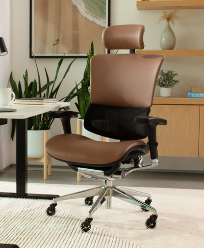 X-Tech Executive