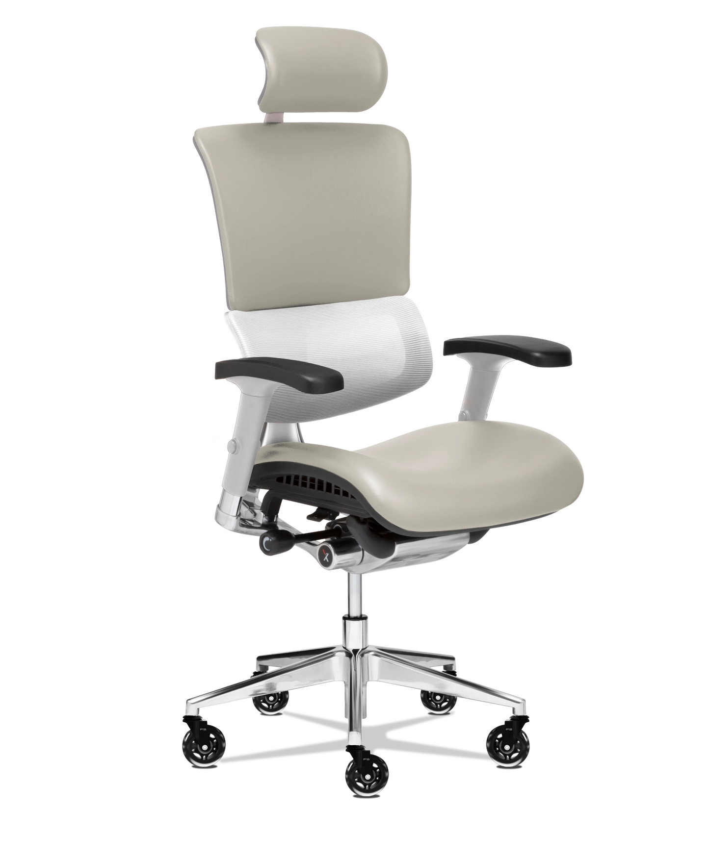 X-Tech Executive