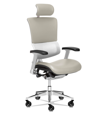 X-Tech Executive