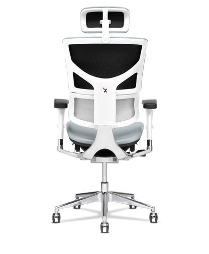 X-Tech Executive
