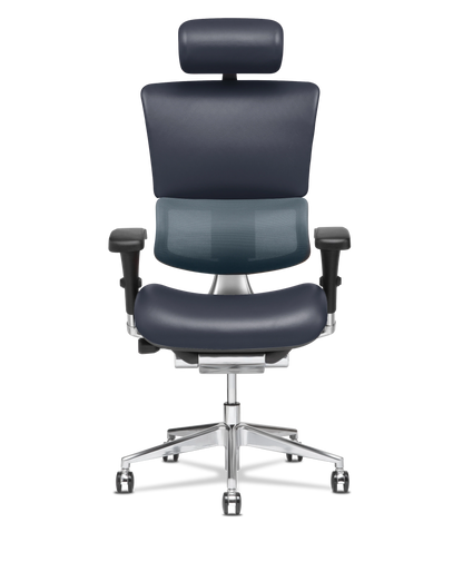 X-Tech Executive