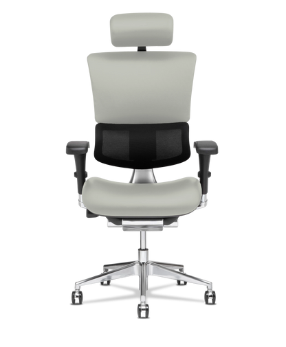X-Tech Executive