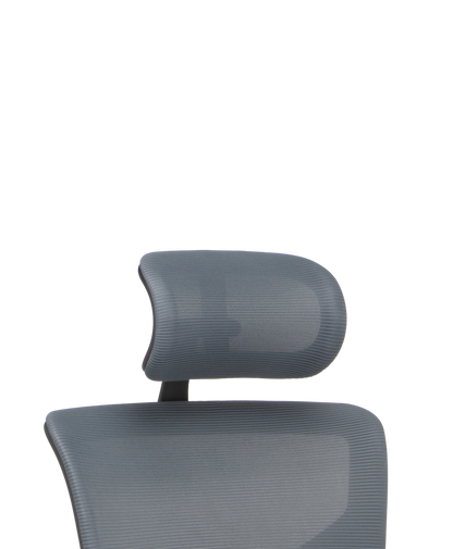 X3 Headrest