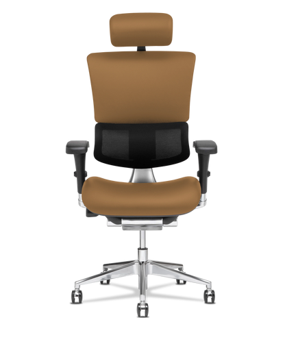 X-Tech Executive