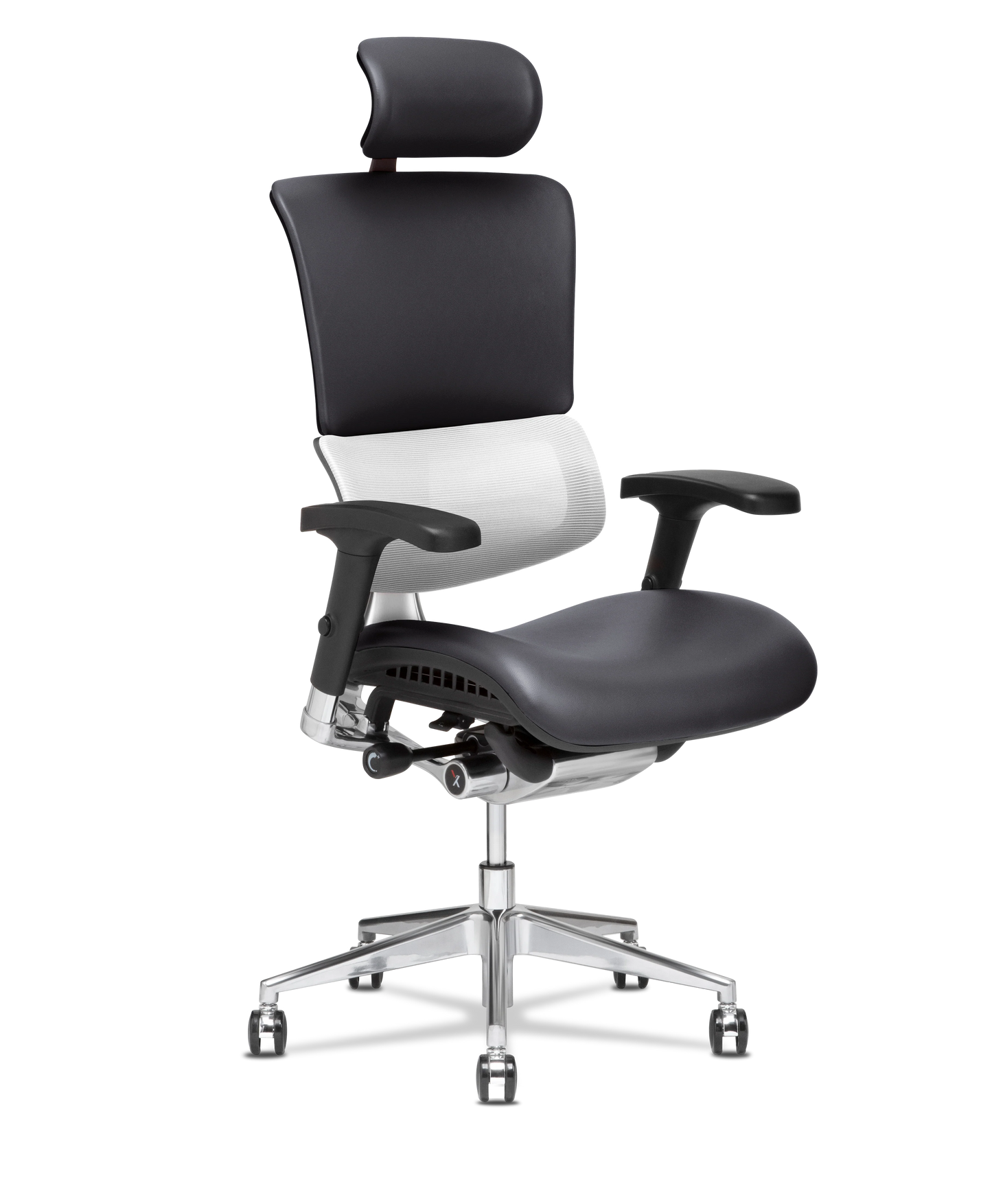 X-Tech Executive