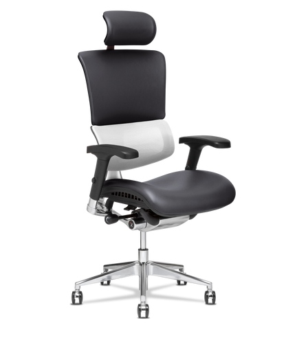 X-Tech Executive