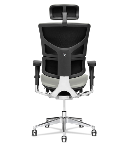 X-Tech Executive