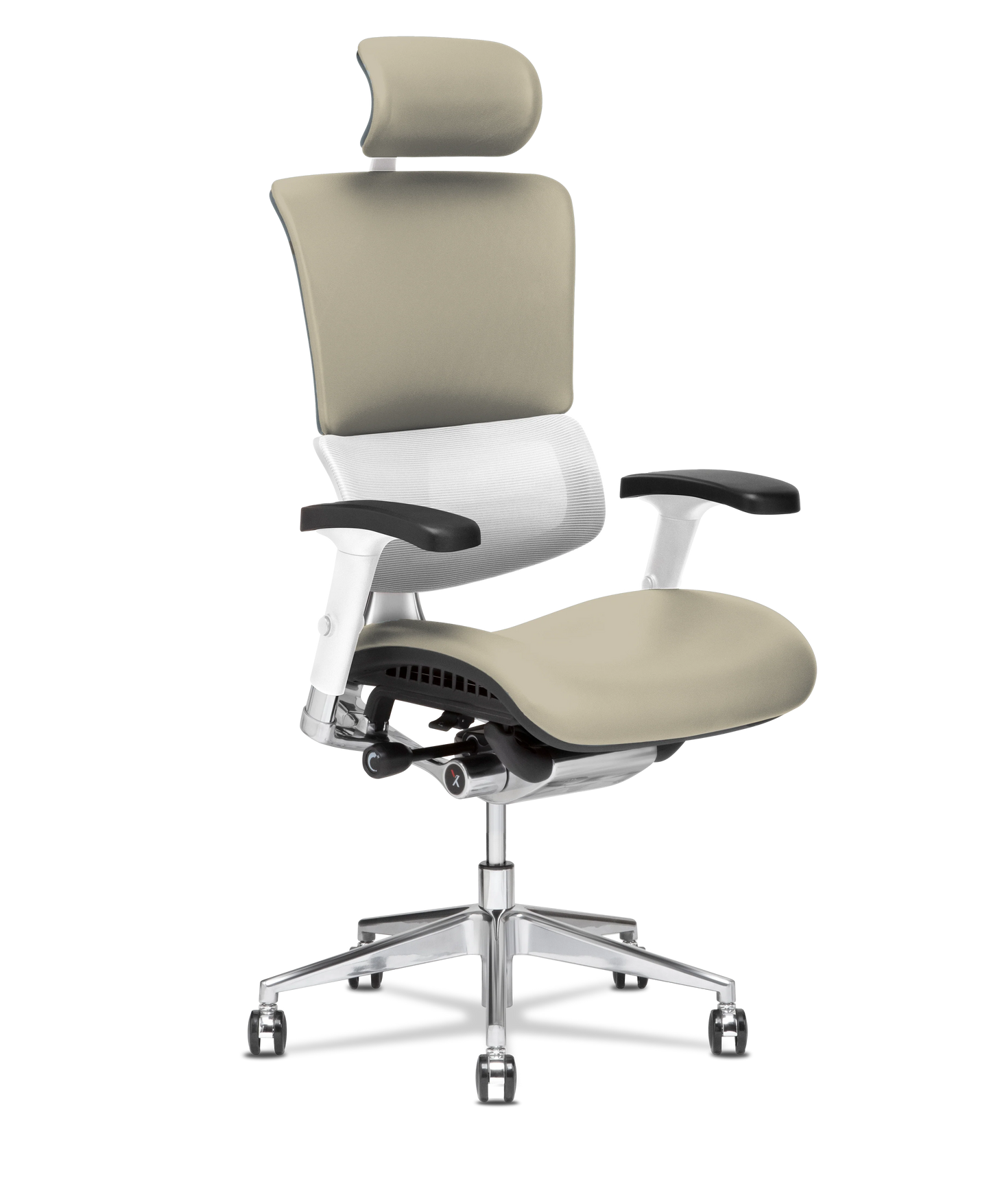 X-Tech Executive