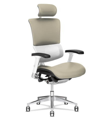X-Tech Executive