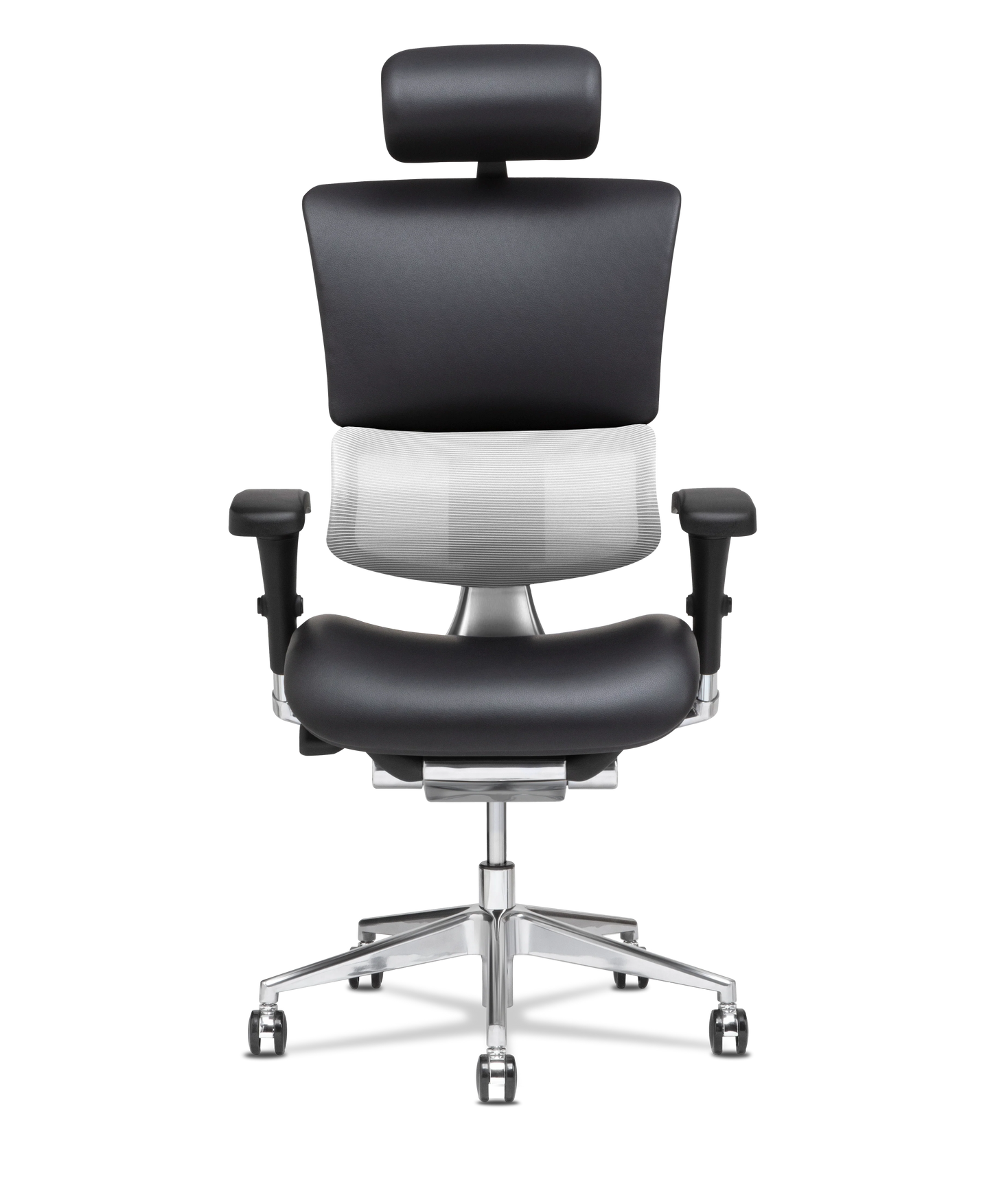 X-Tech Executive