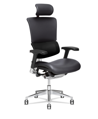 X-Tech Executive