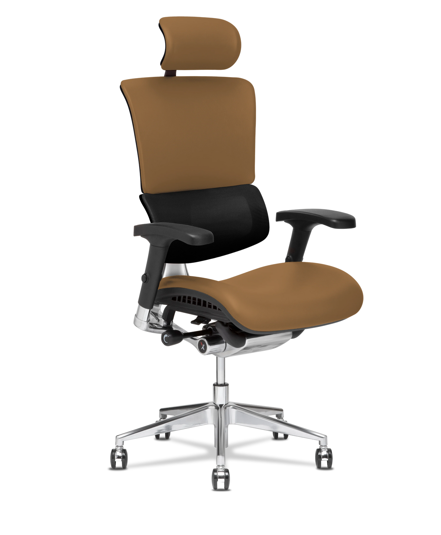 X-Tech Executive