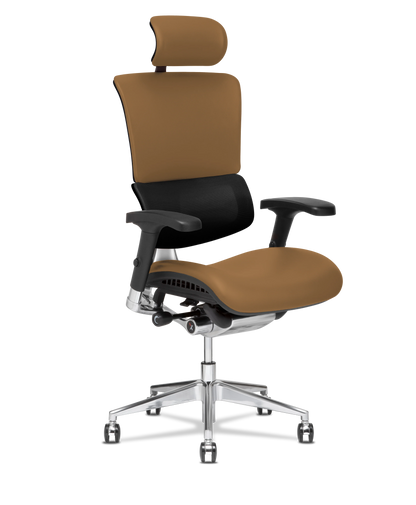 X-Tech Executive