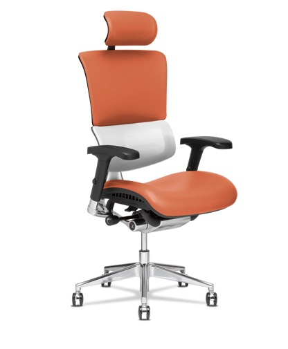 X-Tech Executive