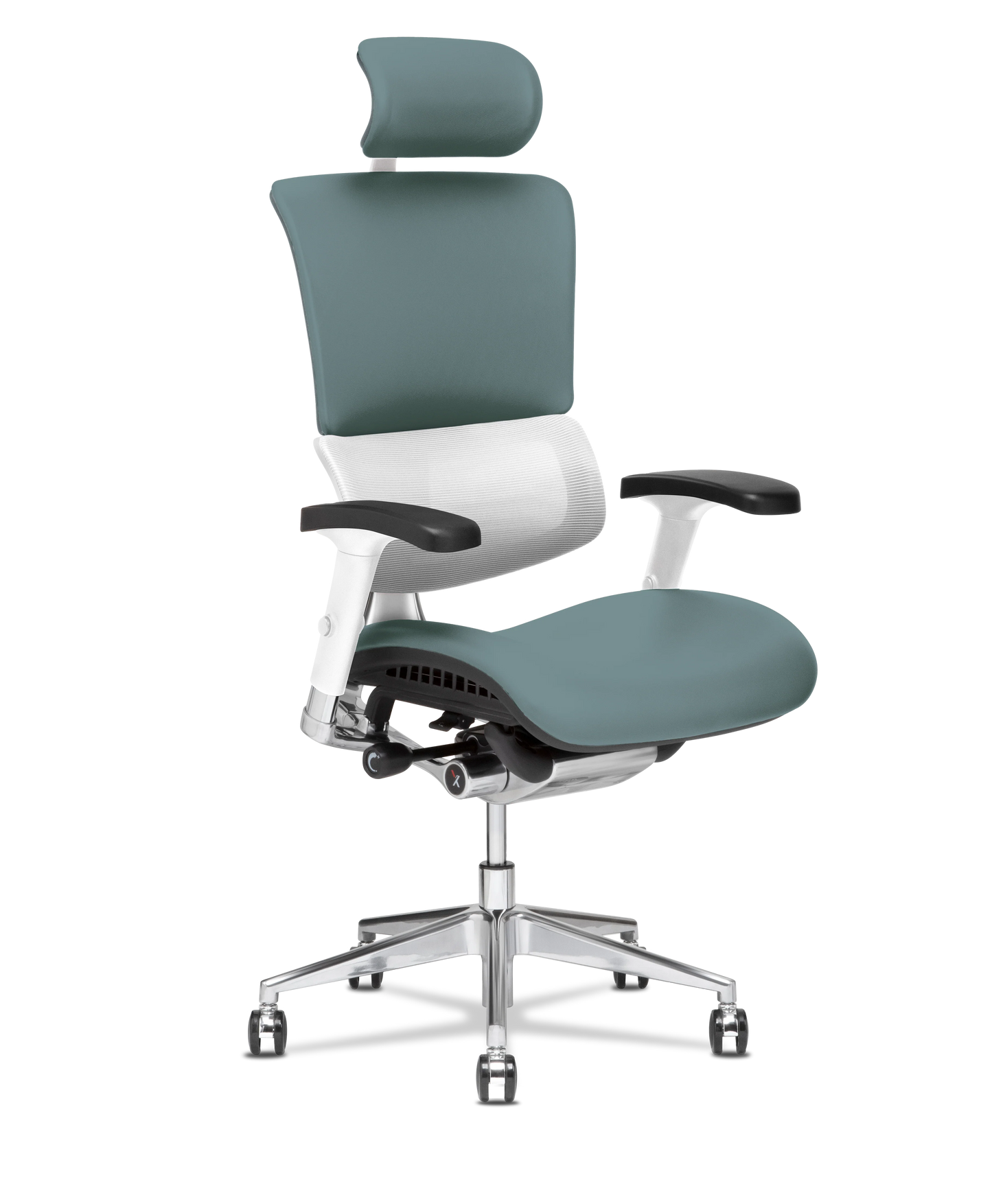 X-Tech Executive