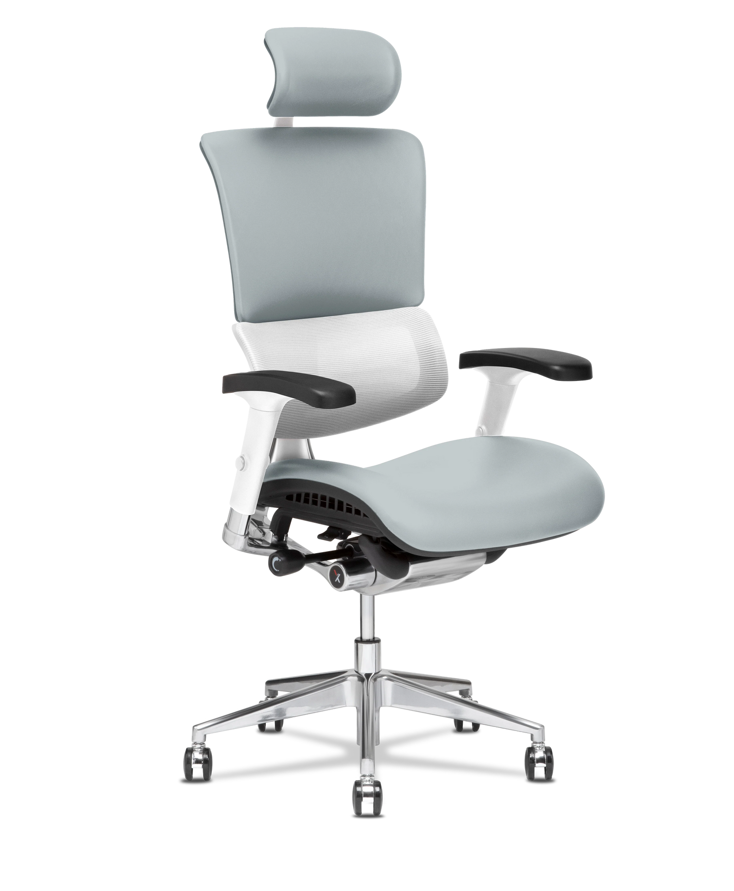 X-Tech Executive