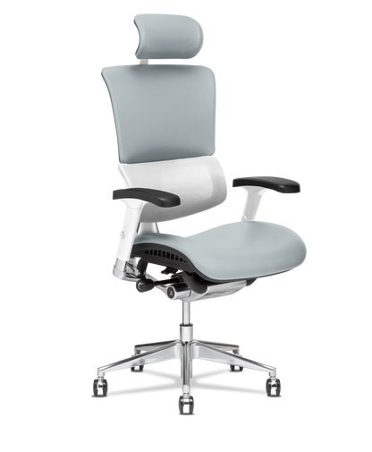 X-Tech Executive