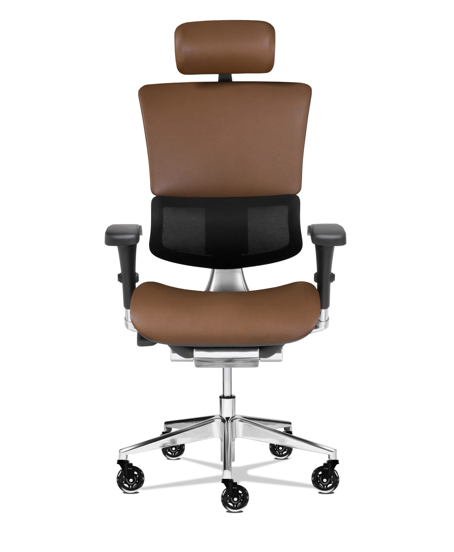 X-Tech Executive